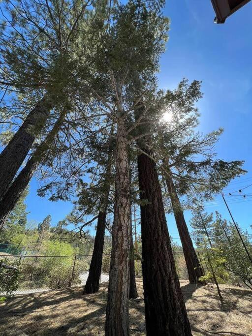 Summit: Discover Serenity In This Cozy Cabin With Mountain Views! Villa Big Bear Lake Eksteriør bilde